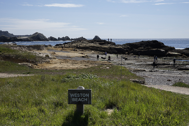 Weston Beach am Point Lobos bei Carmel. 